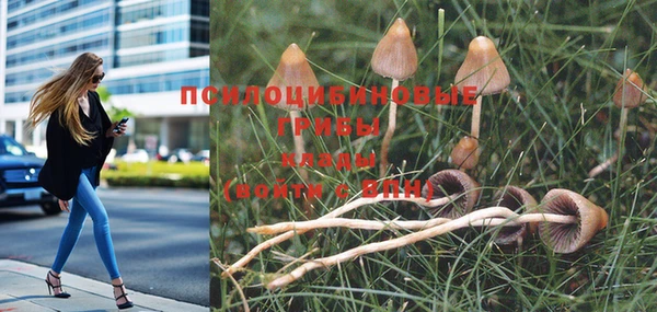 амф Абинск
