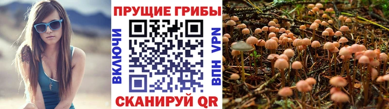 Псилоцибиновые грибы мухоморы  цена   Изобильный 